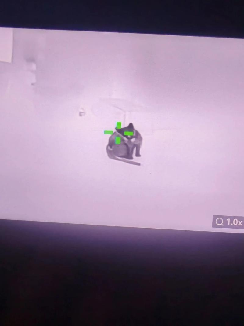 铺梗就是不句为笑点作铺垫